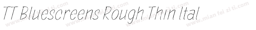TT Bluescreens Rough Thin ltalic字体转换